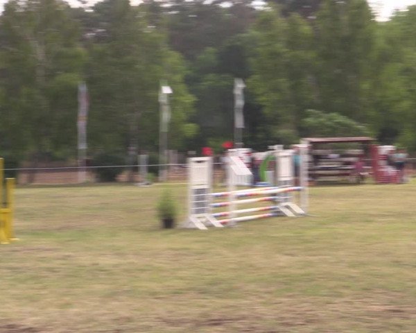 Reitturnier Niederwerbig 2021