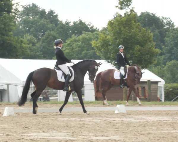 Reitturnier Wohlesbostel 2021