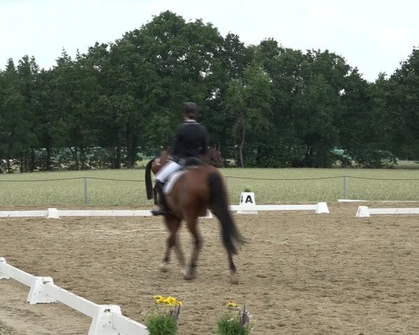 Reitturnier Wohlesbostel 2021