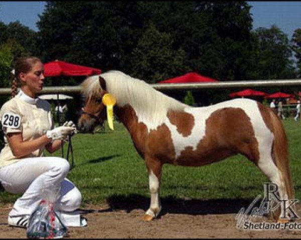 Zuchtstute Princess Charlize B (Shetland Pony (unter 87 cm), 2006, von Gustav B)