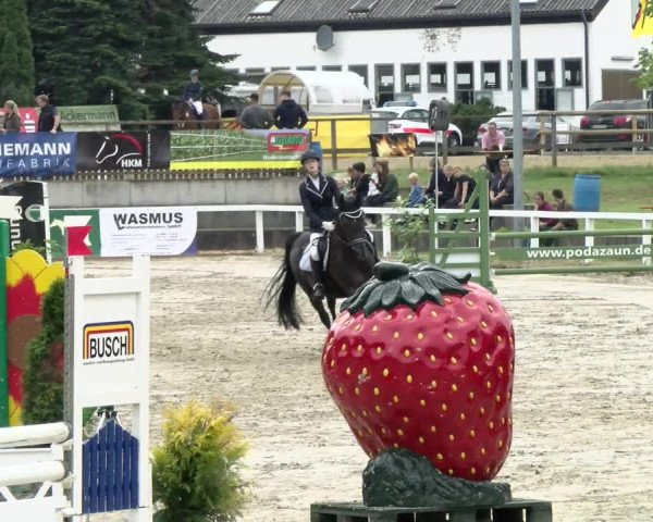 Reitturnier Melle-Ostenfelde 2021