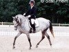 broodmare Quinie Arden (Swedish Riding Pony, 1990, from King's Bonus)