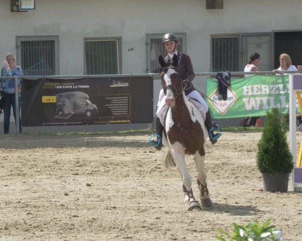 Reitturnier Bad Marienberg - OT Nisterau 2021 - Oberwesterwald