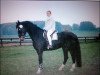 jumper Aschanti 23 (Hanoverian, 1992, from Argentinus)