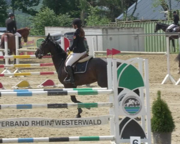 Reitturnier Bad Marienberg - OT Nisterau 2021 - Oberwesterwald