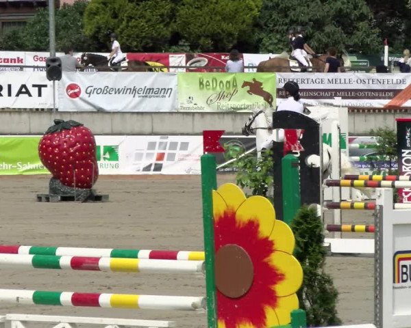 Reitturnier Melle-Ostenfelde 2021