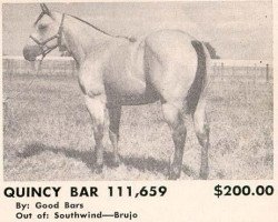 stallion Quincy Bar (Quarter Horse, 1958, from Good Bars)