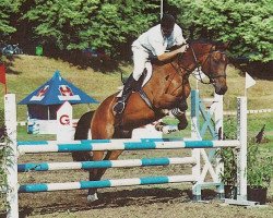 horse Fredy (Swiss Warmblood, 1991, from Ingo V CH)