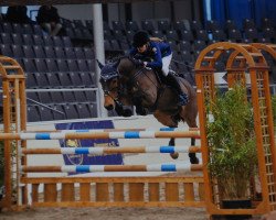 jumper Streicher 2 (German Riding Pony, 2005, from Sambesi)