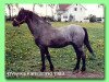 Deckhengst Horshaga Cyrano (Welsh Pony (Sek.B), 1961, von Rhyd-Y-Felin Selwyn)