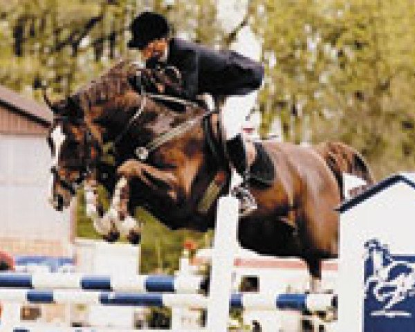 stallion Grand Royal 9 (Hanoverian, 1992, from Grannus)
