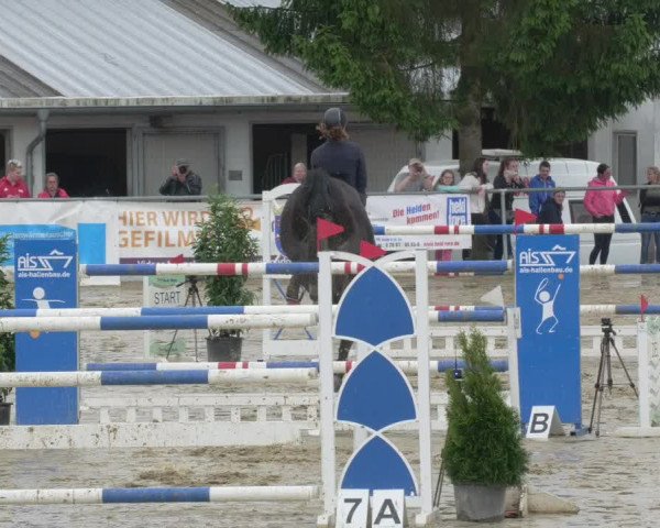 Reitturnier Bad Marienberg - OT Nisterau 2021 - Oberwesterwald