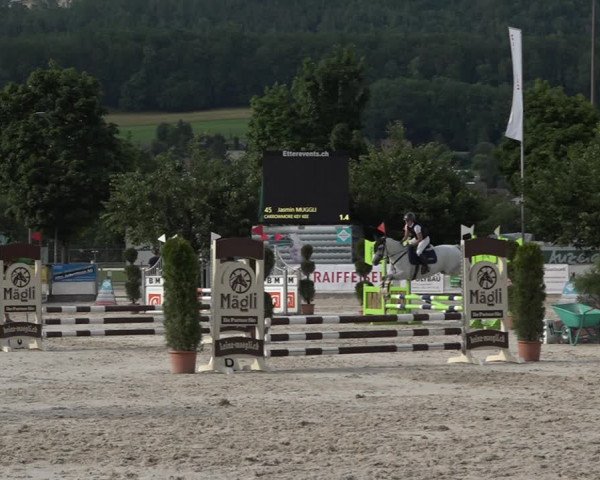 Reitturnier Balsthal 2021