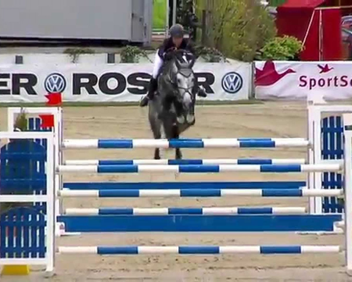 stallion H C.s.r. Center (Belgian Warmblood, 2007, from Cento)