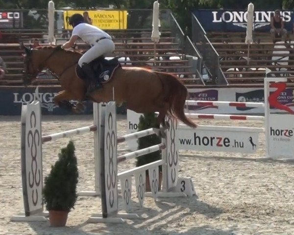 horse Mende's Balou (Belgian Warmblood, 2007, from Baloubet du Rouet)