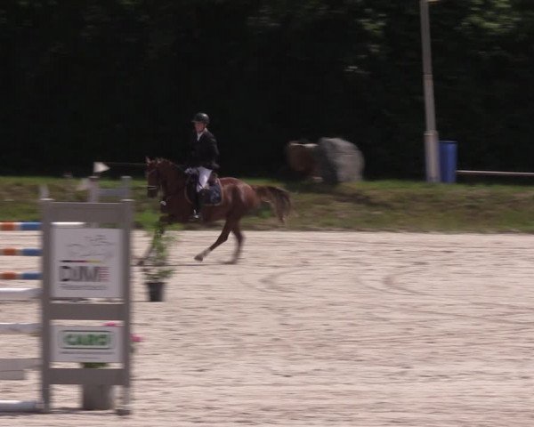 Reitturnier Pietzpuhl 2021