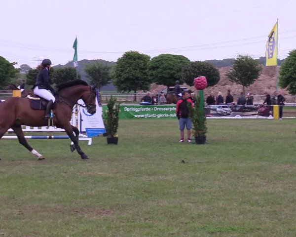 Reitturnier Dersekow 2021