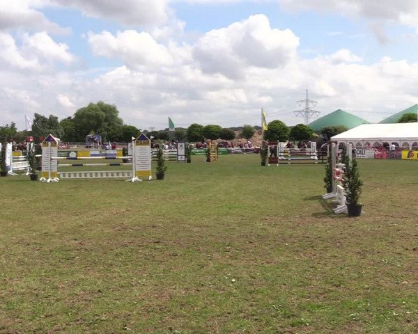 Reitturnier Dersekow 2021