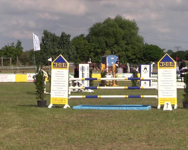 Reitturnier Dersekow 2021