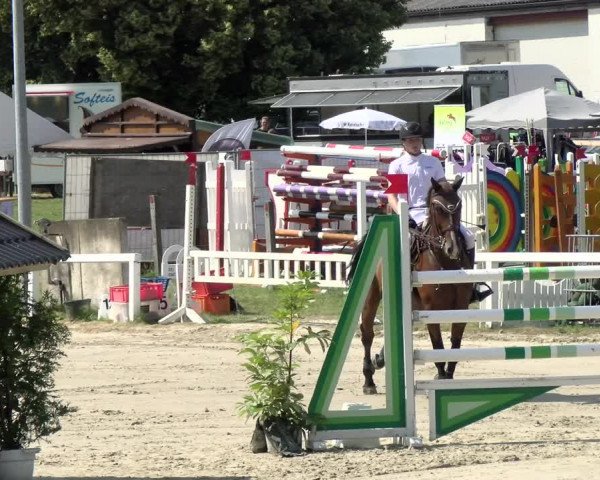 Reitturnier Melle-Ostenfelde 2021