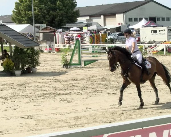 Reitturnier Melle-Ostenfelde 2021