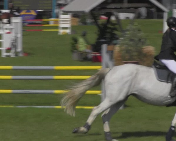 Reitturnier Ihleburg 2021