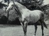 stallion Jagdsport (Hanoverian, 1952, from Jason ox)