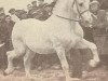 stallion Tello (Alt-Oldenburger / Ostfriesen, 1927, from Theo)