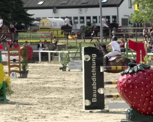 Reitturnier Melle-Ostenfelde 2021