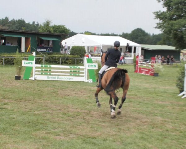 Reitturnier Wohlesbostel 2021