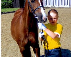 Zuchtstute Buenteeichen Corana (Welsh Pony (Sek.B), 1996, von Ernesto)