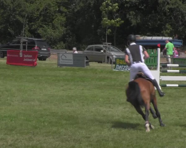 Reitturnier Ihleburg 2021