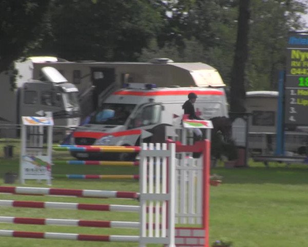 Reitturnier Ihleburg 2021