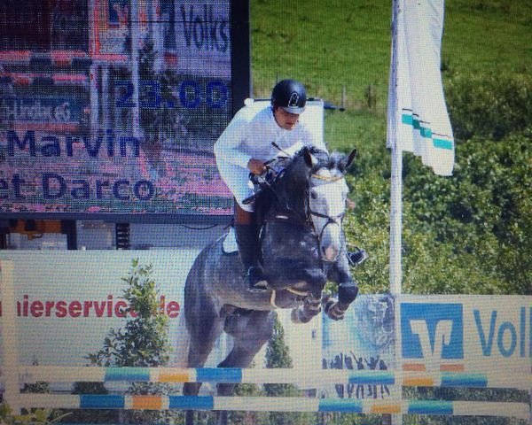 Springpferd Jerlin et Darco (Belgisches Warmblut, 2009, von Caspar (Berlin))