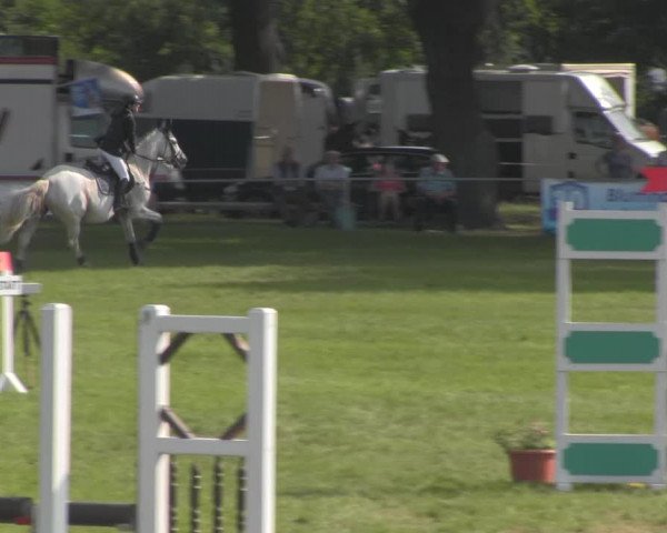 Reitturnier Ihleburg 2021