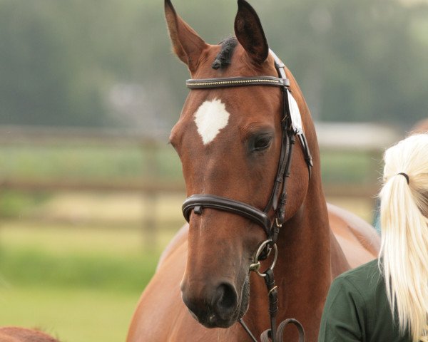 broodmare Lesly 39 (Oldenburg, 1998, from Landcord)