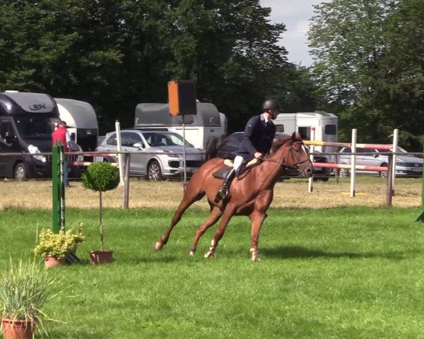 Reitturnier Hanerau-Hademarschen 2021