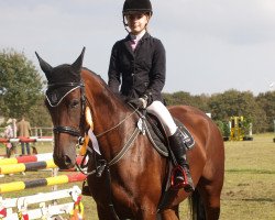 jumper Belle Femme du Coeur (German Warmblood, 2004, from Semper)