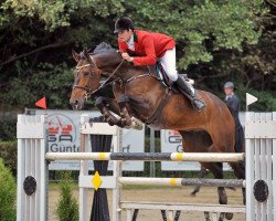 jumper Hevo van de Zwaluwehoeve (Belgian Warmblood, 2007, from Querlybet Hero)