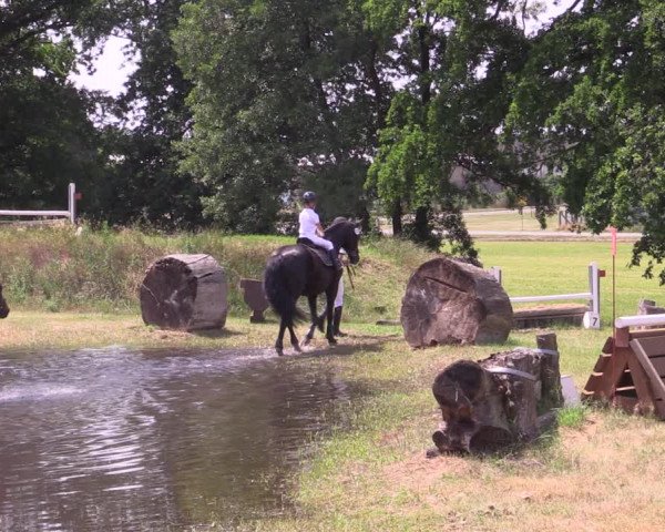 Reitturnier Niederwerbig 2021
