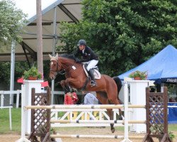 jumper Chicco (Oldenburg show jumper, 2007, from Chacco-Blue)