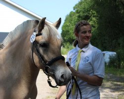 broodmare Malika Højbjerggard (Fjord Horse, 2006, from Idol Skovå)