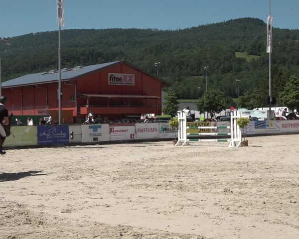 Reitturnier Balsthal 2021