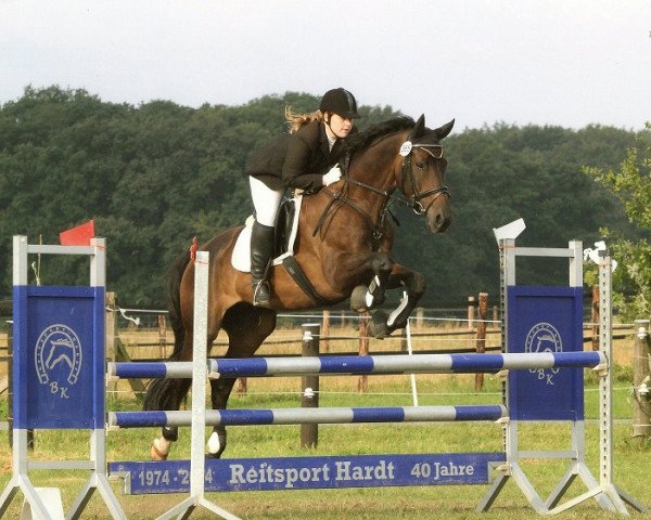 dressage horse Happy Choco (Hanoverian, 2007, from Herzensdieb)