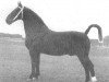 stallion Helmar (Gelderland, 1943, from Baronet)