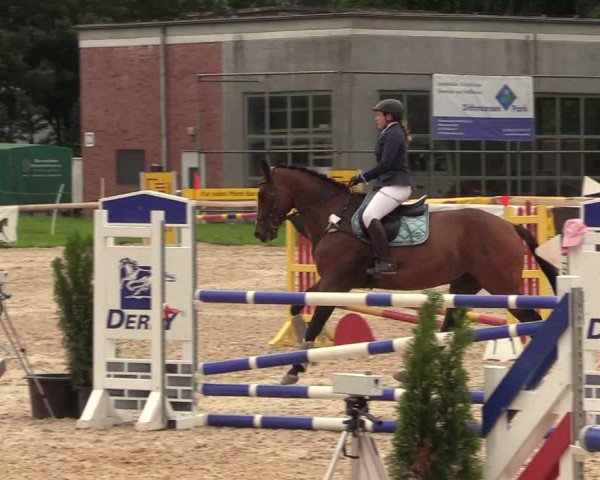 Reitturnier Albersdorf Dithmarsenpark 2021