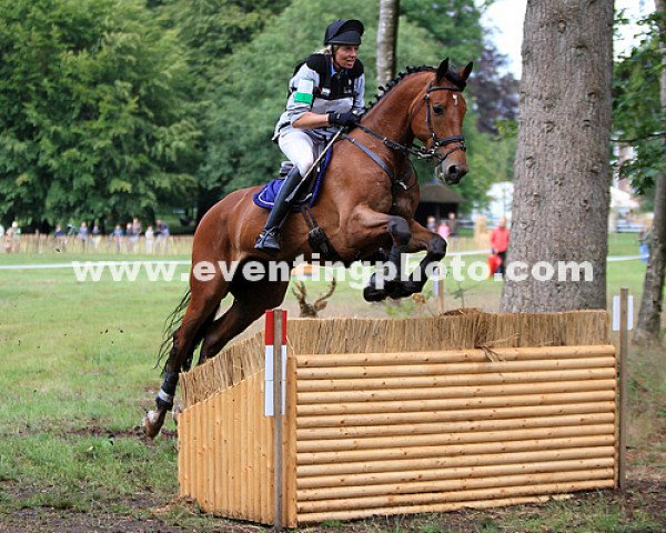 jumper Adonis (KWPN (Royal Dutch Sporthorse), 2005, from Larino)