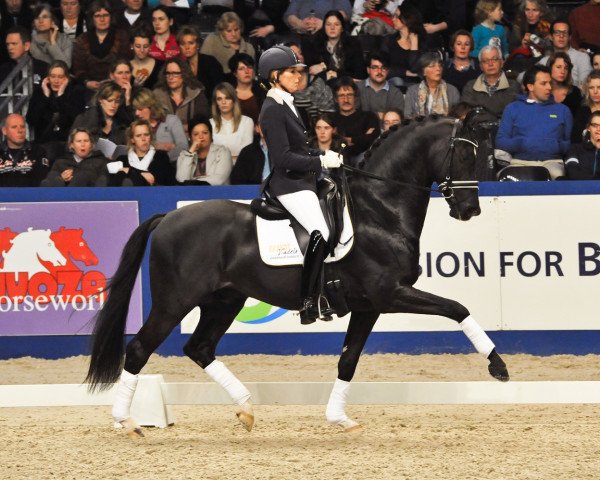 stallion Dark Pleasure (KWPN (Royal Dutch Sporthorse), 2008, from Ufo)