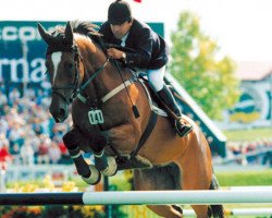 broodmare Renata la Silla (KWPN (Royal Dutch Sporthorse), 1982, from Ramiro Z)