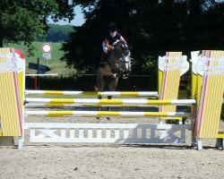 broodmare C'est Piri K (Oldenburg show jumper, 2009, from Chekandino)